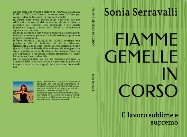 Copertina Fiamme Gemelle In Corso di Sonia Serravalli