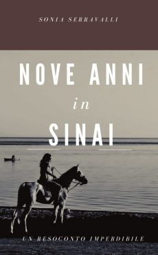 NOVE-ANNI-IN-SINAI-cover-ebook-pdf-642x1024